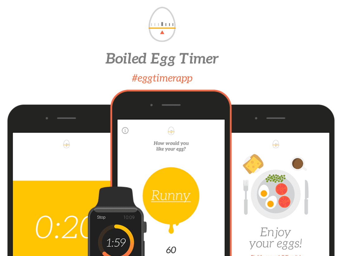EGG TIMER PRO